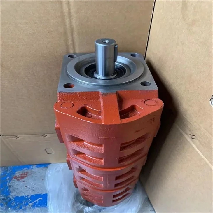 Lainuo P7600 P5100 P3100 P360 P257 P197 P124 Series P7600C367AX 1119041030 Gear Oil Pump